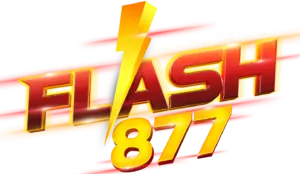 FLASH877